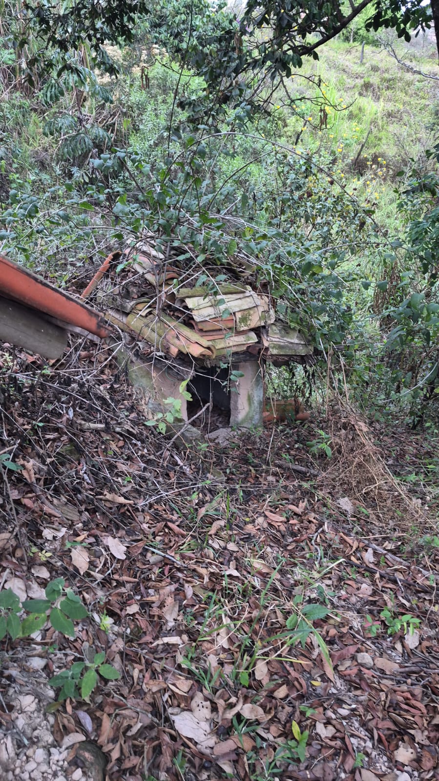 Sítio em Região de São Joaquim de Bicas — foto 12