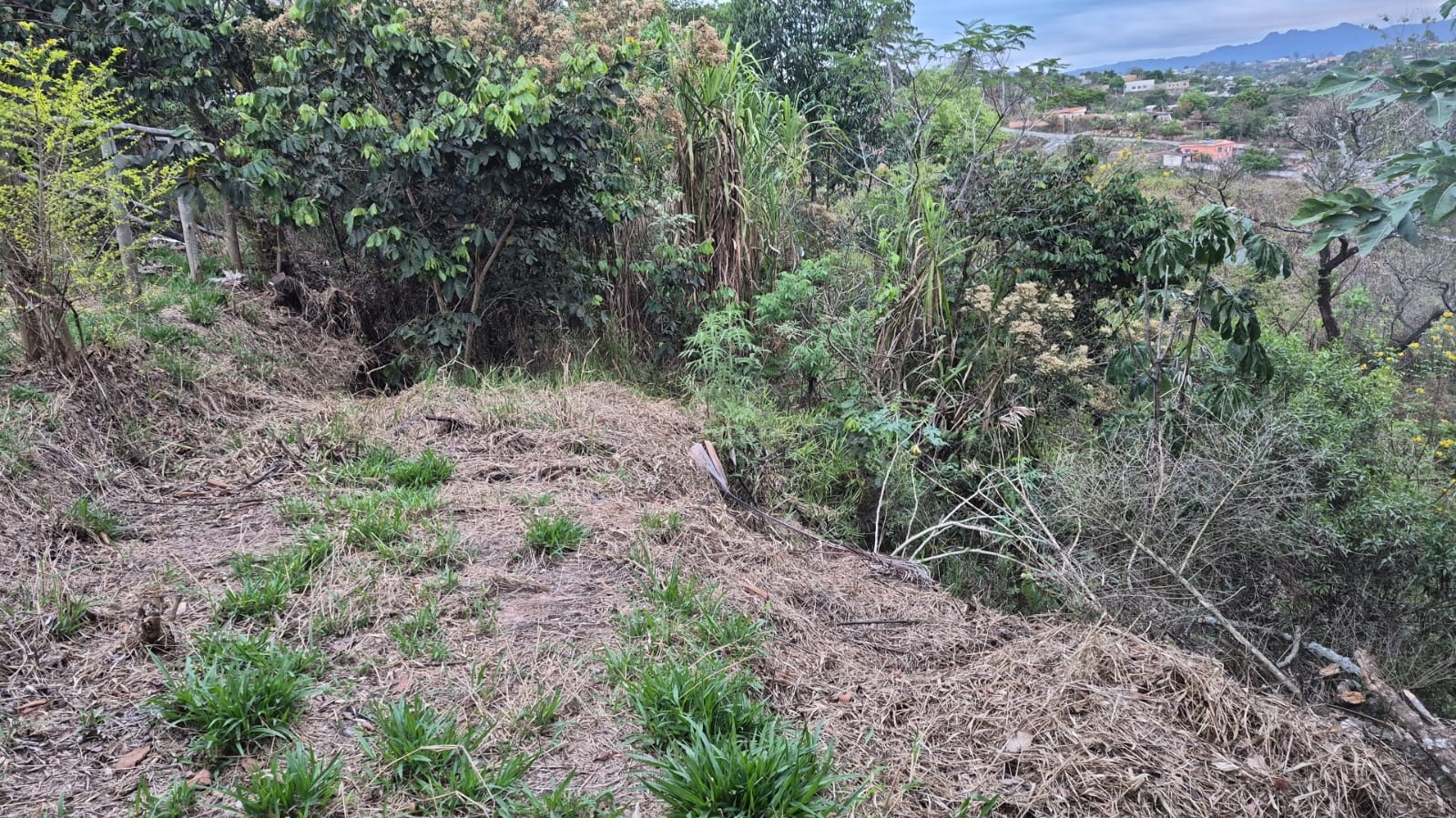 Sítio em Região de São Joaquim de Bicas — foto 11