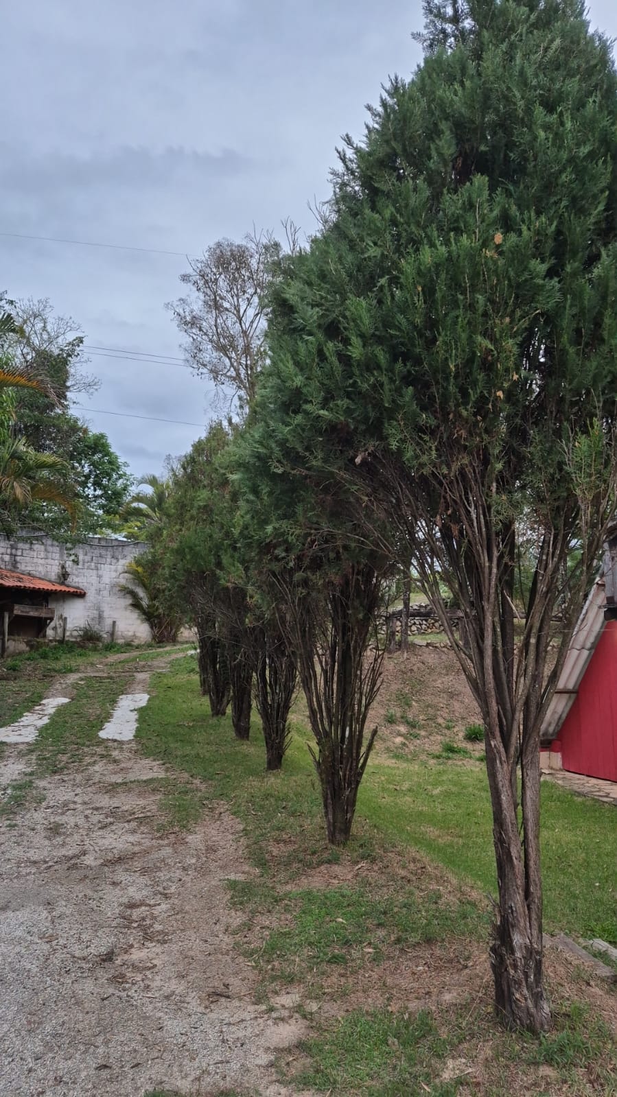 Sítio em Região de São Joaquim de Bicas — foto 8