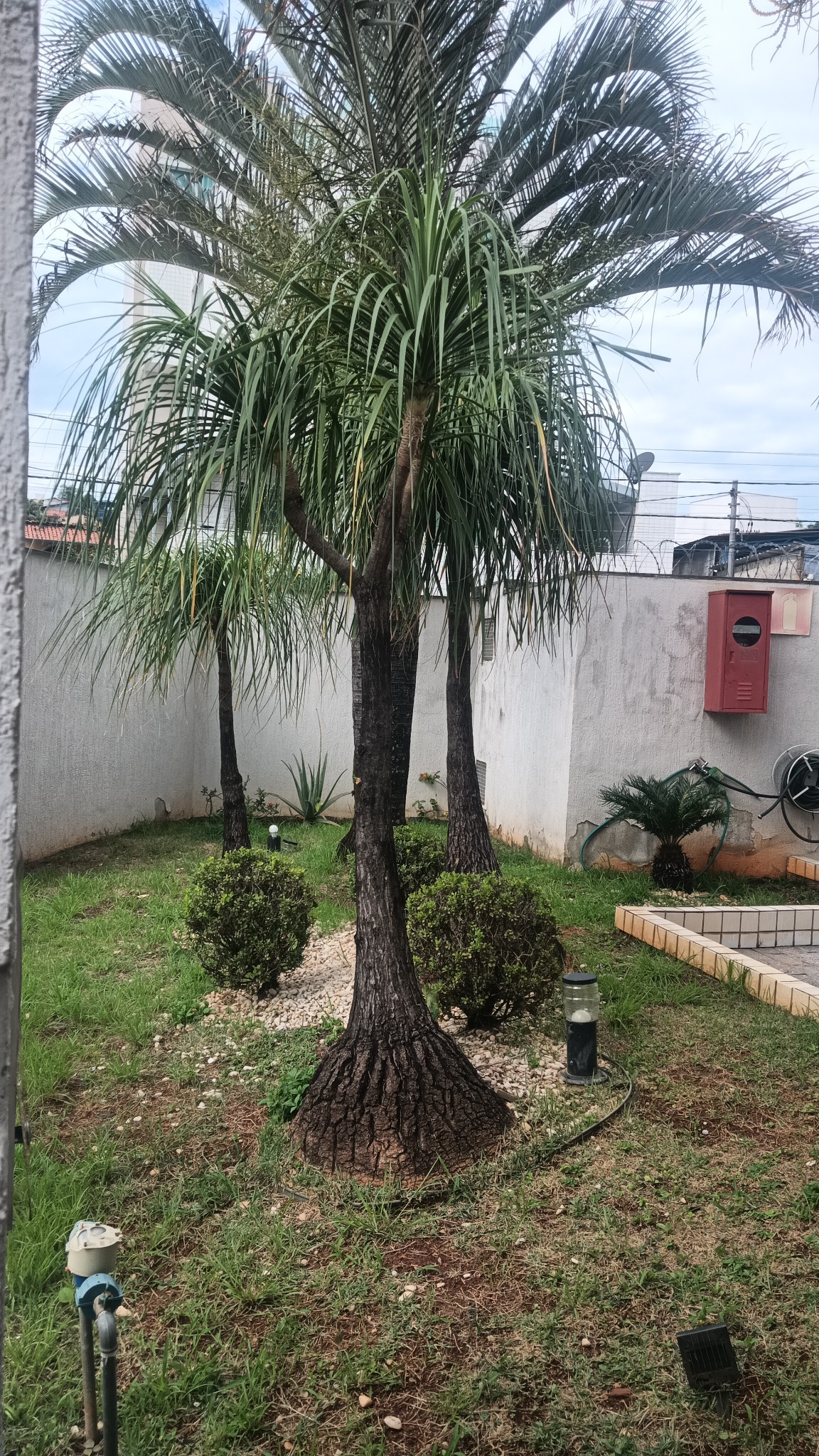 Apartamento em Paquetá — foto 5