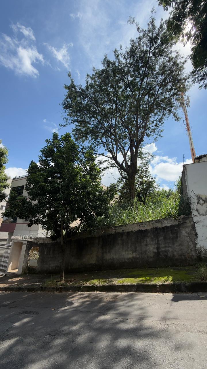 Lote em Paquetá — foto 4
