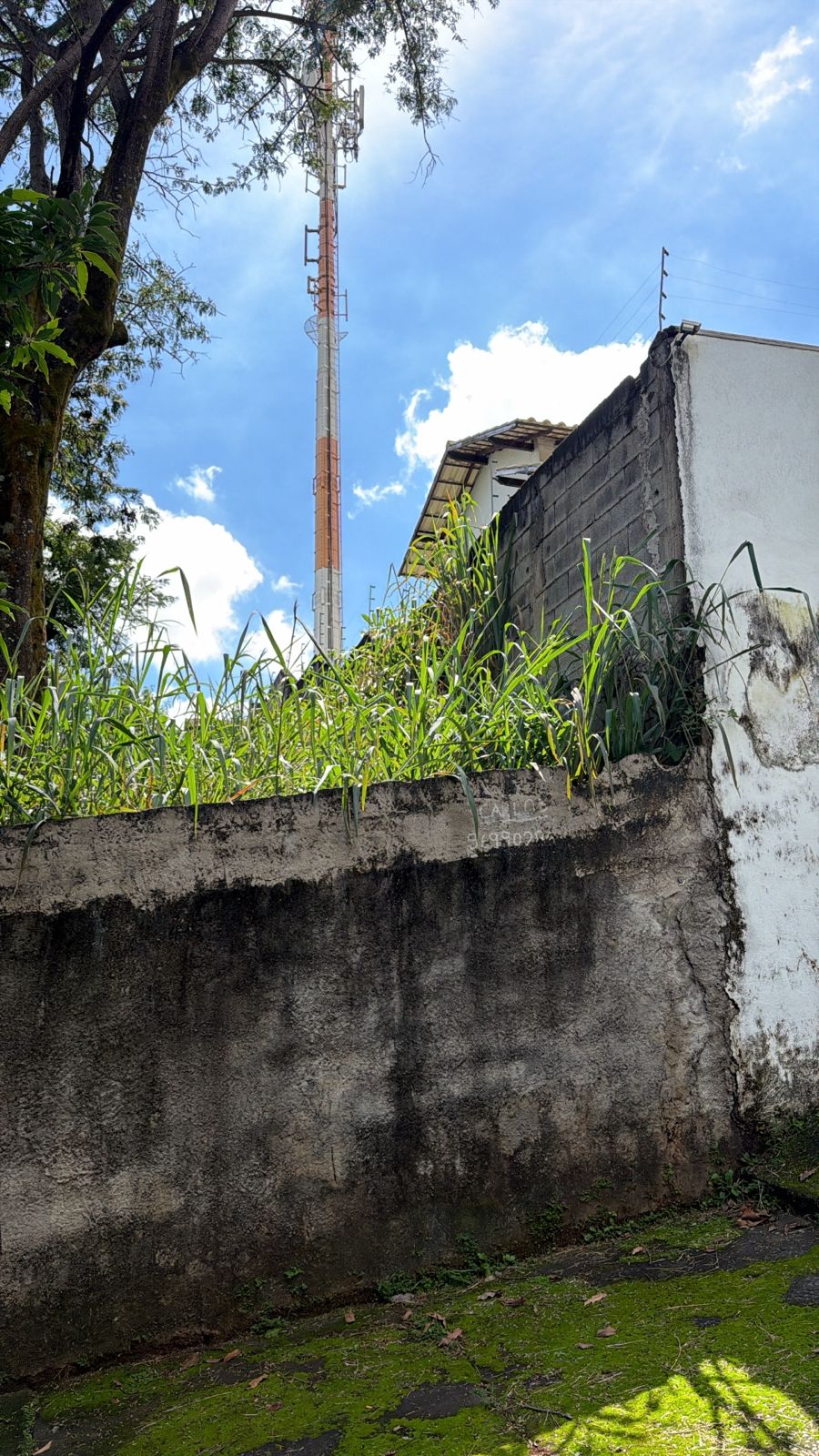 Lote em Paquetá — foto 5